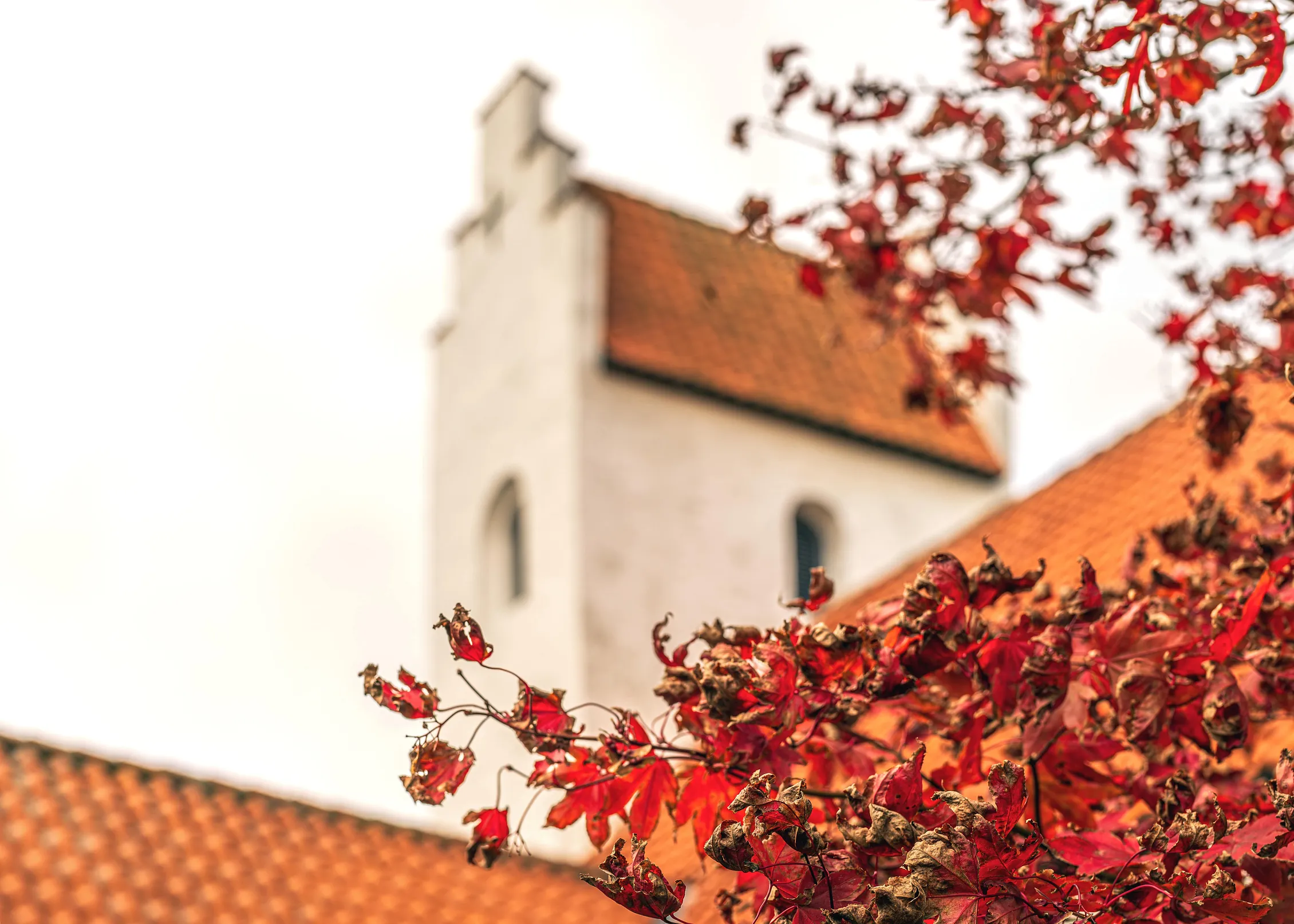 Elsted Kirke bag efterårsblade